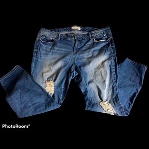 Torrid distressed denim 22S